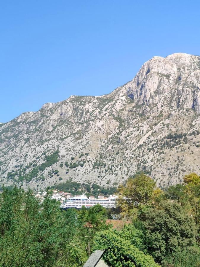 Apartman Dolcerosa Kotor Exterior photo